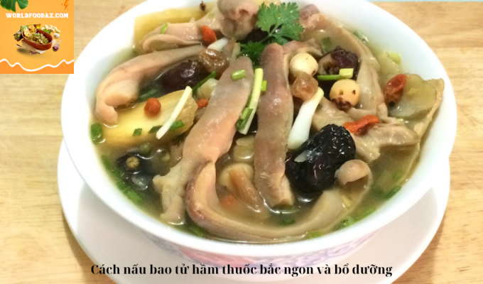 Cách nấu bao tử hầm thuốc bắc ngon và bổ dưỡng